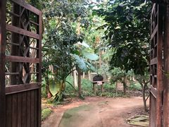 -呀路古热带植物园