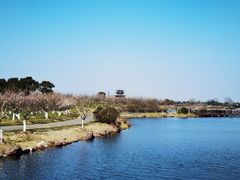 -上海海湾国家森林公园