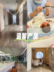 -爱帝宫月子中心(罗湖别墅院)