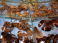-御满江海鲜酒家(洛溪新城店)