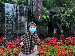 -广州市流溪河国家森林公园