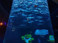 -香港海洋公园