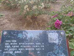 -北京市劳动人民文化宫(太庙)