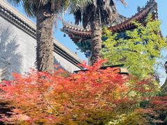 -万寿八仙宫