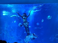 -太平洋海底世界