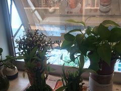 -太平洋PACIFIC SPA•奢睿水疗(万象城店)