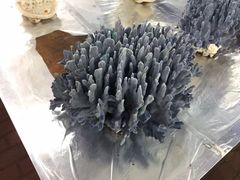 -万尾金滩