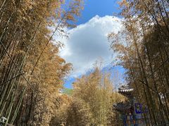 -红螺寺