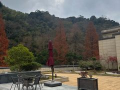 -天明山温泉大酒店