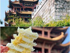-武汉园博园(武汉自然博物馆)