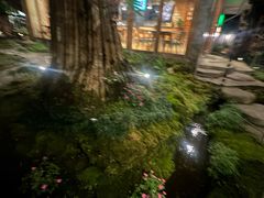-Chom Cafe and Restaurant