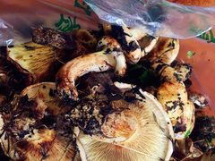 -南渝食府.石锅鸡(尚城花园店)