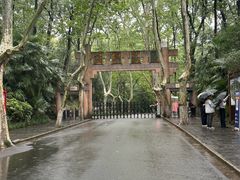 -灵谷景区
