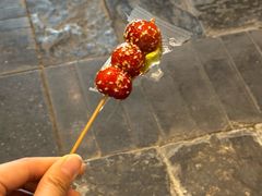 -鸢飞潍坊菜馆(鸢飞大酒店)