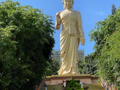 -西双版纳勐泐文化旅游区