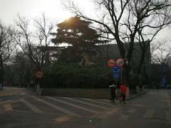 -山东大学(趵突泉校区)