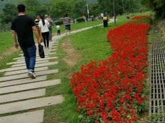 -南国桃园旅游度假区