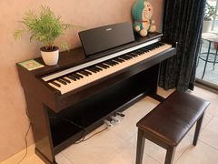 -乐尚音乐空间·钢琴·声乐·架子鼓(会展中心店)