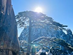 -黄山风景区