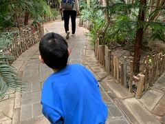 -呀路古热带植物园-恐龙馆