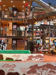 -卡通尼·Safari非洲探索乐园·生日会(金桥国际商业广场店)