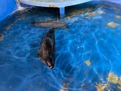 -太平洋海底世界