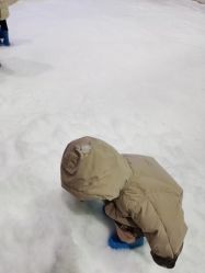 -Mr·Kuma酷么先生雪之乐园
