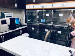 门诊室-宠爱国际动物医院·疑难骨科·心肾内科·皮肤科(太阳宫店)