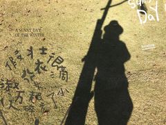 -大树秋千