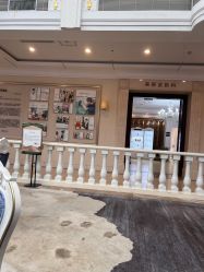 -禾丽康美医疗美容医院
