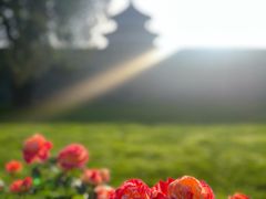 -天坛公园