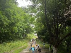 -宾果蒙特梭利托育儿童之家幼儿园(爱琴海店)