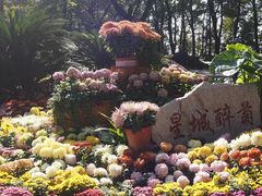 -岳麓山风景名胜区