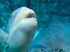 -沈阳海洋探索中心