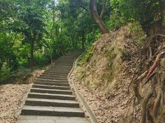-火炉山森林公园