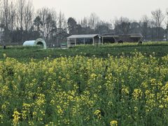 -中国天府农业博览园