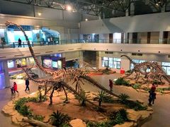 -自贡恐龙博物馆