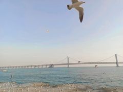 -星海广场