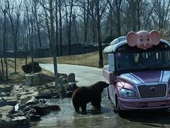 -北京野生动物园