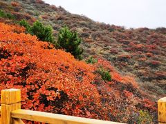 -水峪民俗村