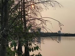 -海珠湖公园