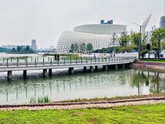 -金沙湖公园