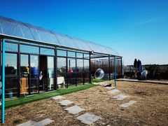 -美家乐农庄·露营·团建(大治路店)