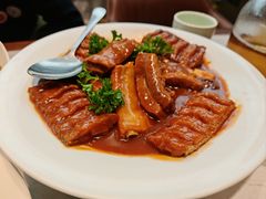 -船歌·鱼水饺青岛菜(太阳宫凯德MALL店)
