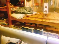 -小时光咖啡馆(开森度假森林店)
