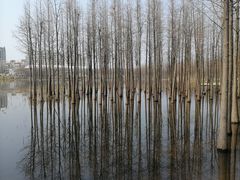 -艾溪湖湿地公园