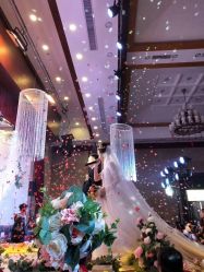 -艾米丽婚纱礼服