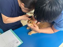 -瑞派申生动物医院·24H夜诊·国际动物医疗中心·骨外科(吴中路店)