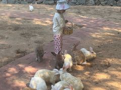 -西部长青自然儿童乐园