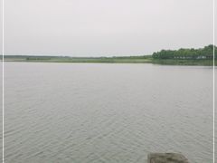 -呼兰河口湿地公园